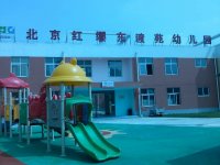 幼兒園出操啦！